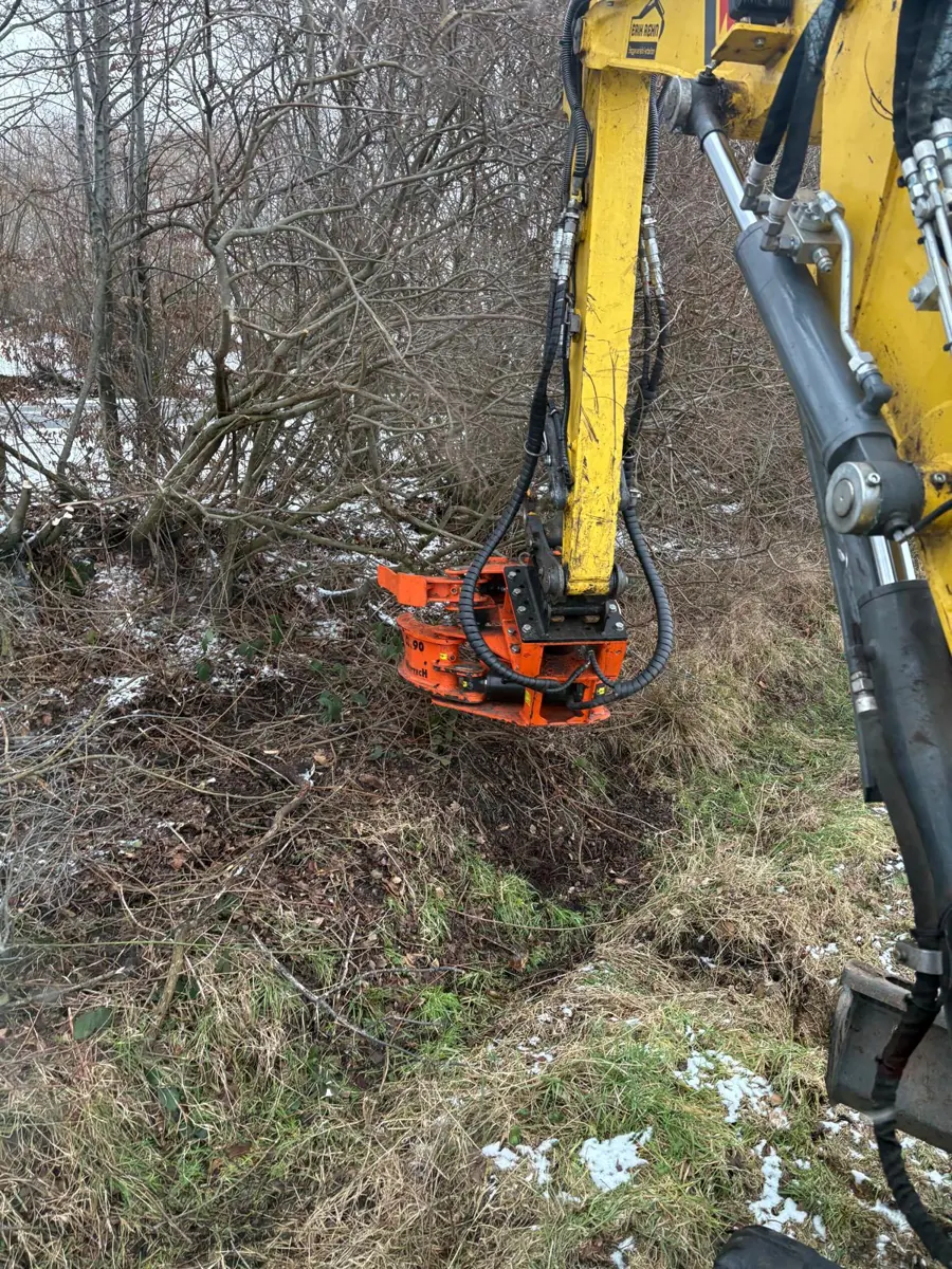 Bagger mit Fällgreifer bei der Knickpflege im Winter, dem gesetzlich erlaubten Zeitfenster