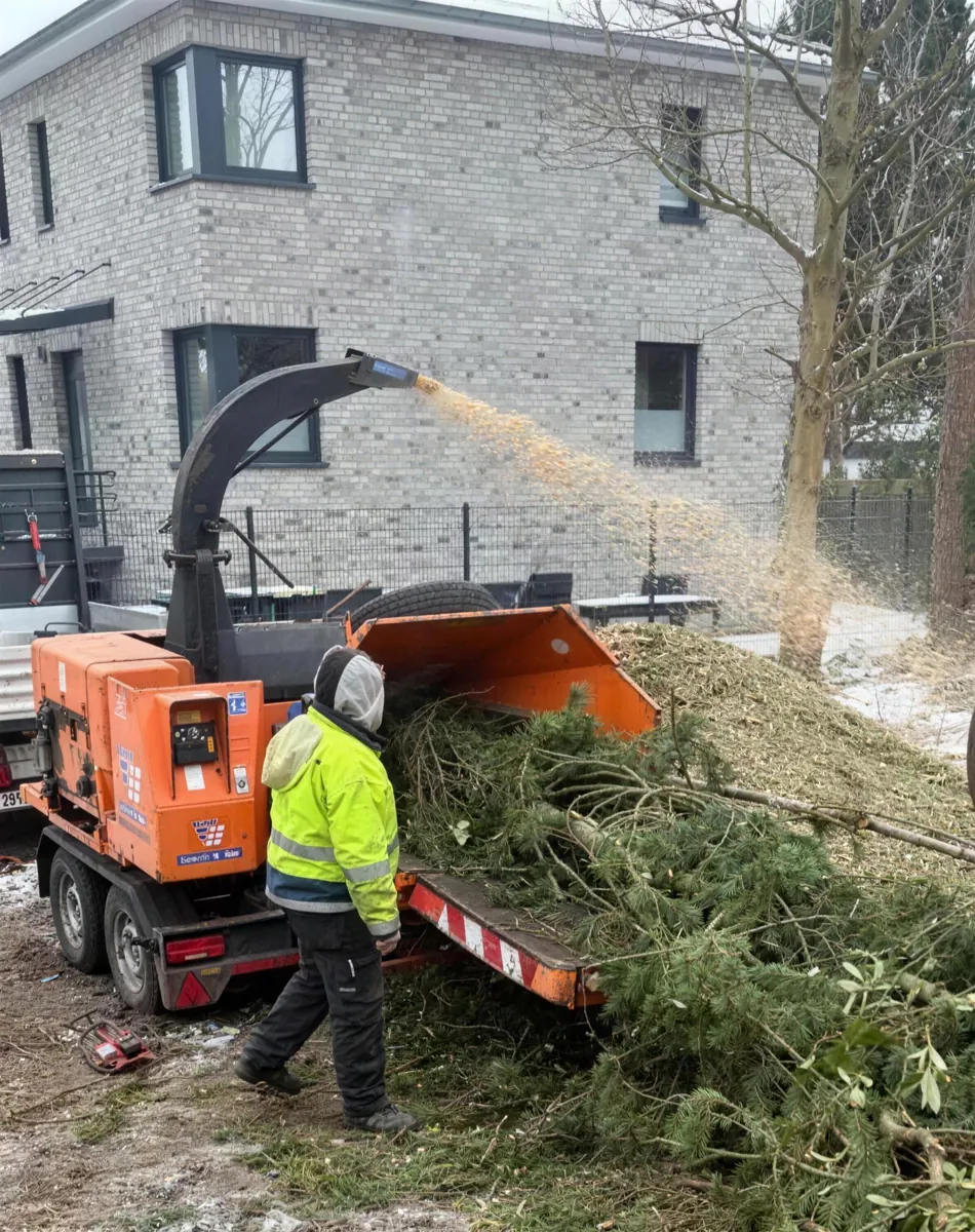 Holzhäcksler im Einsatz beim Zerkleinern von Grünschnitt